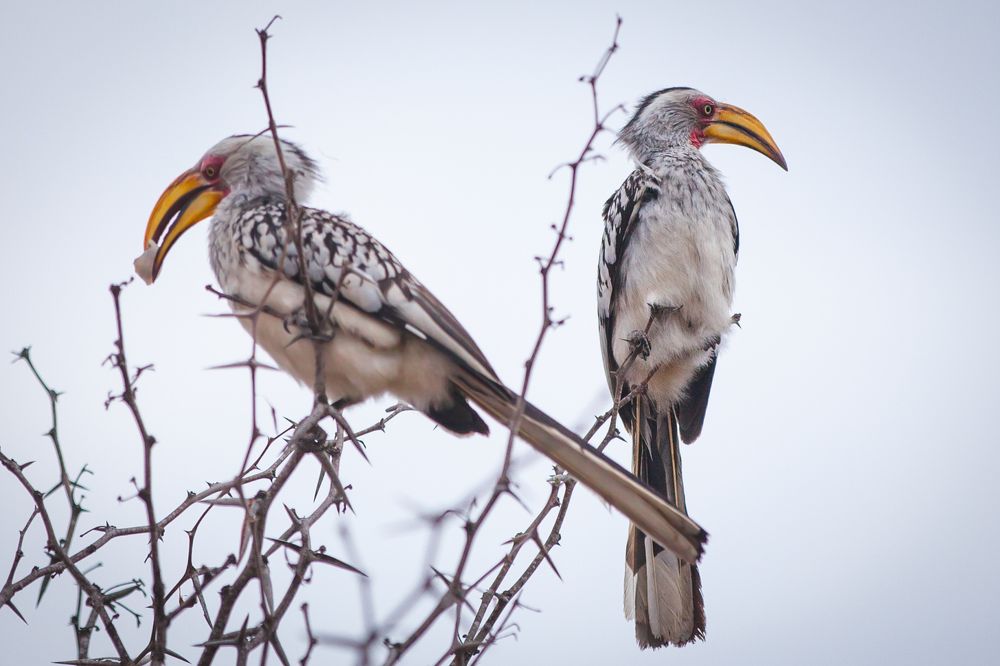 Photograph by Praveen Emmanuel