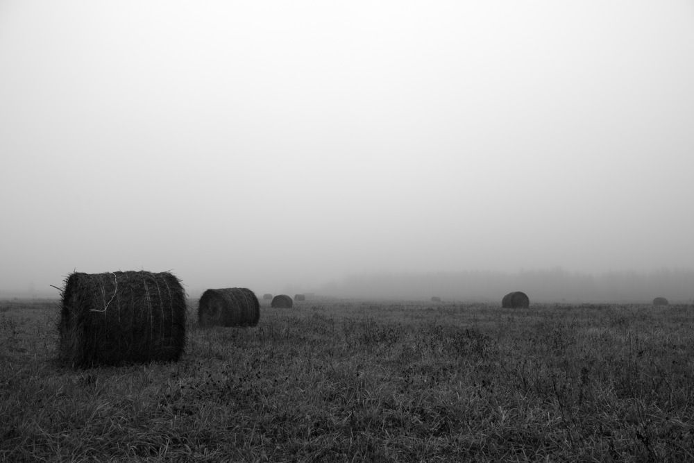 Photograph by Александр Кращук