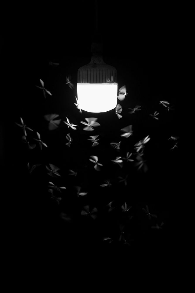 Photograph by Ashen Eranda