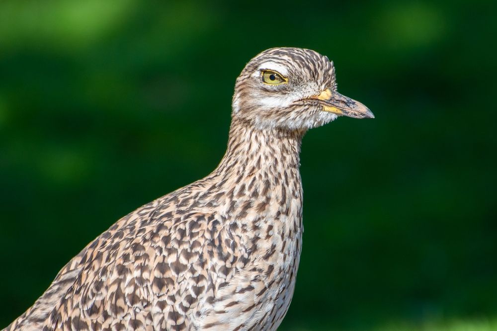 Photograph by Francisco José López Fernández