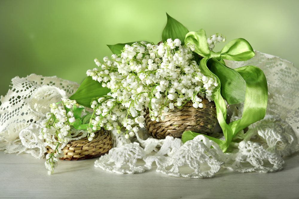 Photograph by Шруб (Беляева) Татьяна