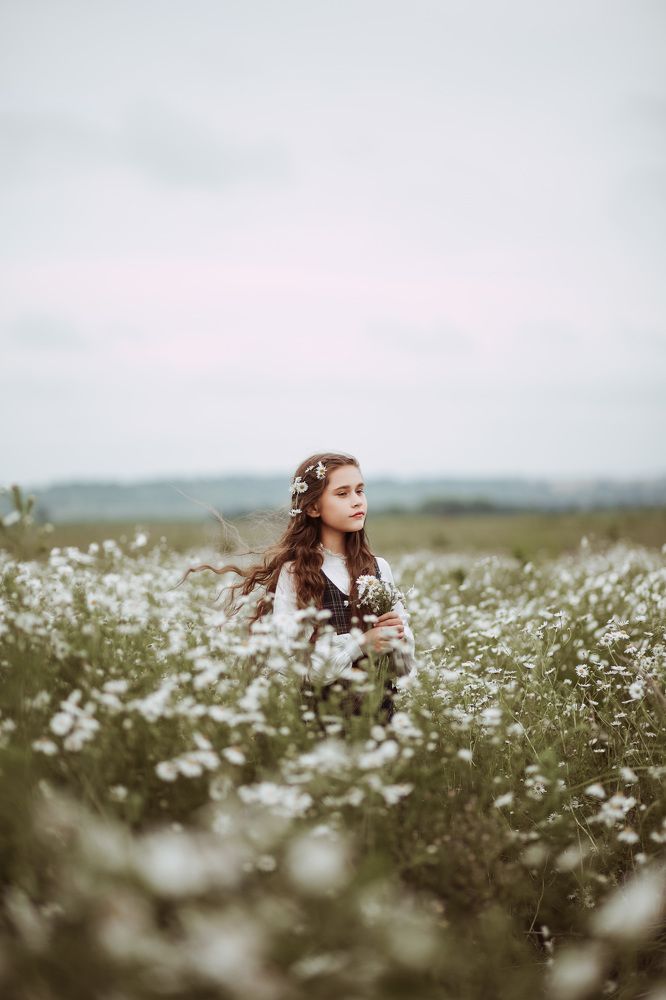 Утро в ромашковом поле