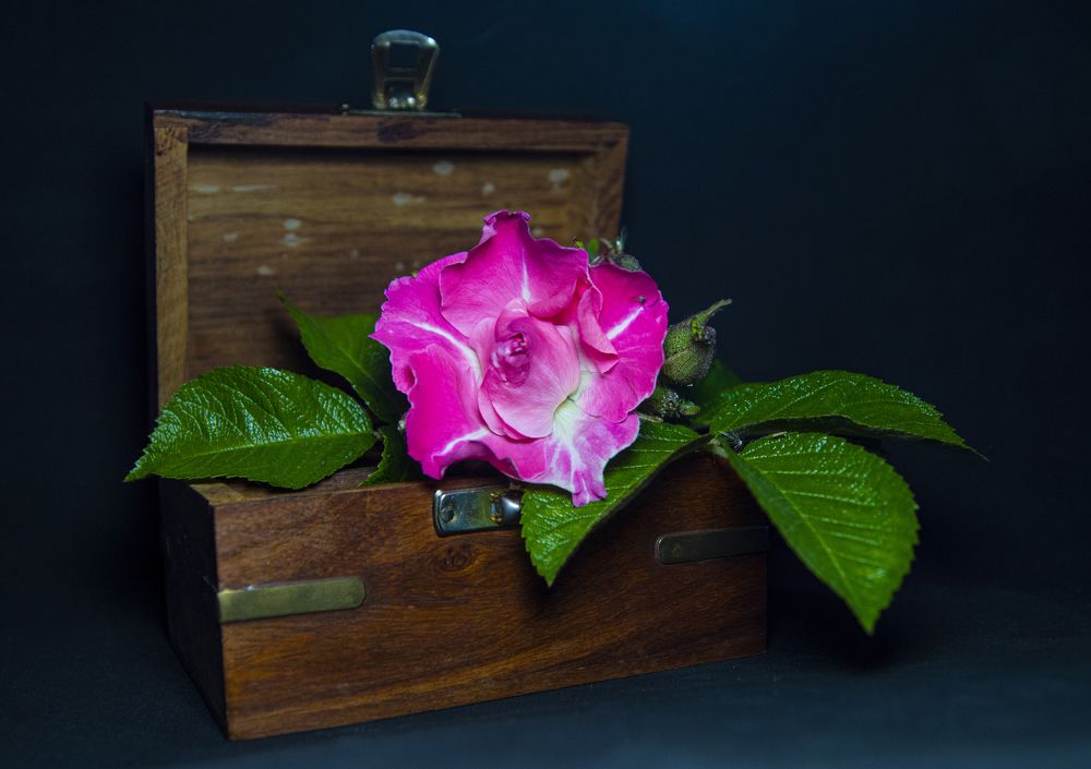 Photograph by Анна Васильева