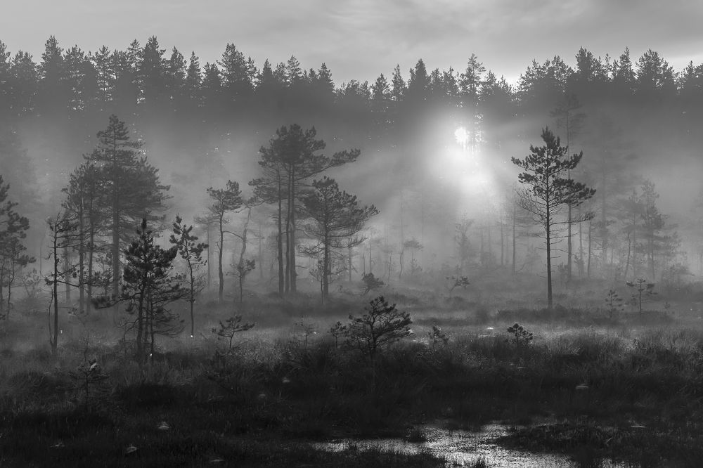 Photograph by Ярослав Лукьянов