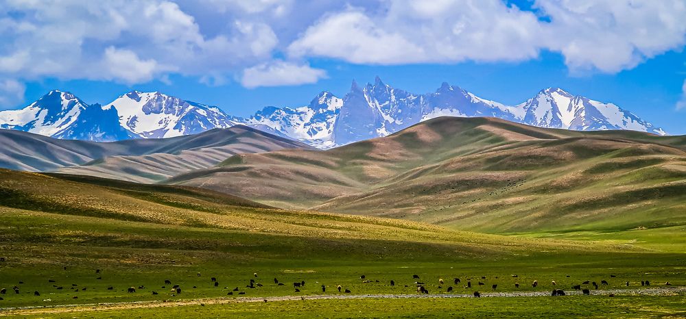 Фотография автора Gul Ahmad Adib