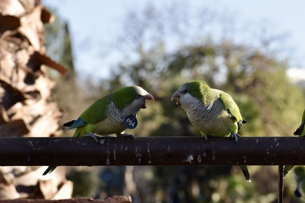 Photograph by Karina Shprekher