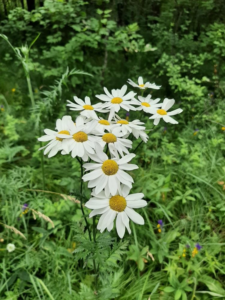 Photograph by Elena Goreva