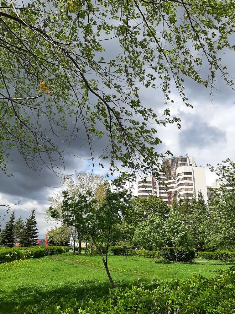 Photograph by Elena Goreva