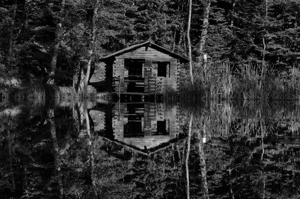 Photograph by Олег Печенегин