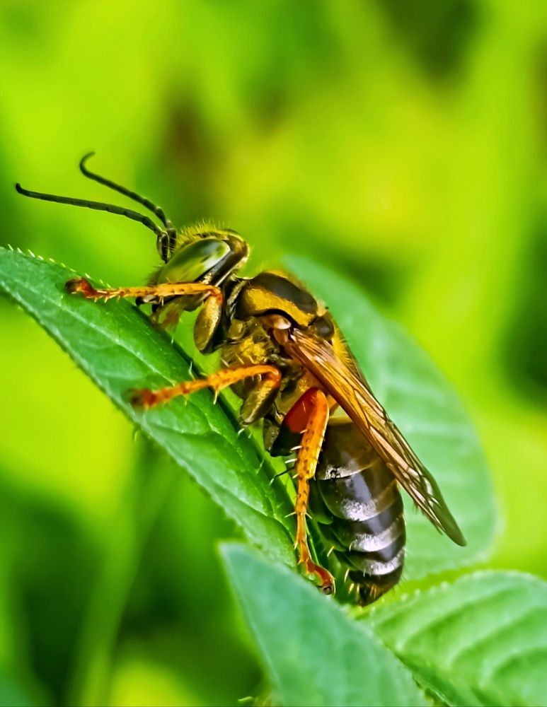 Photograph by Harry Syahrizuan