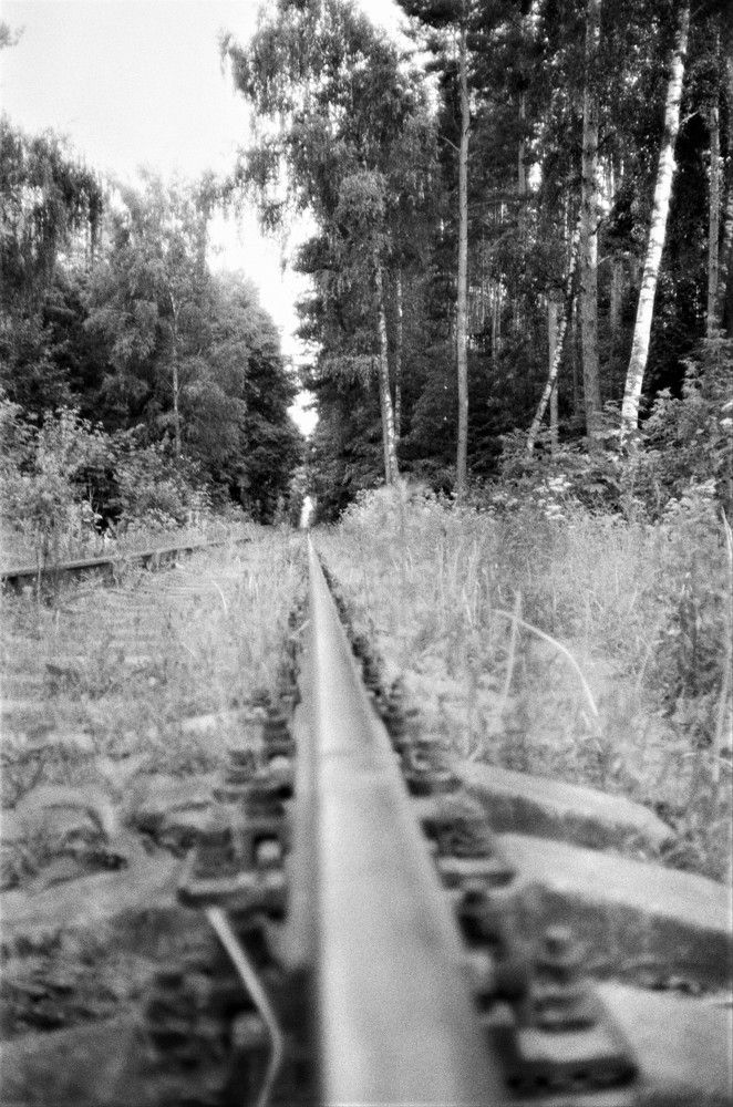 Photograph by Александр Казаков