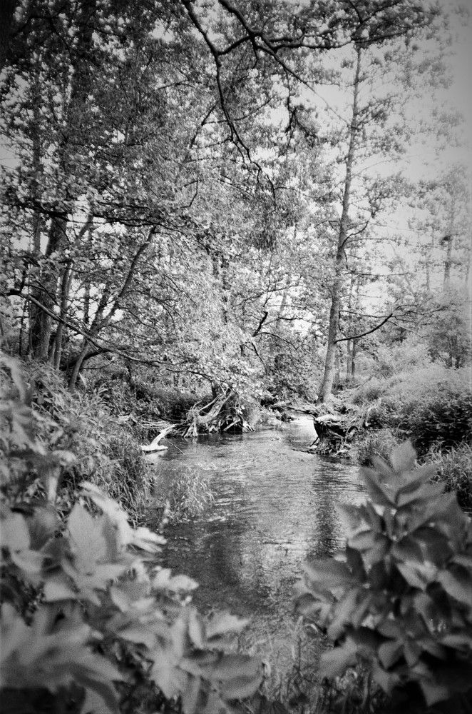 Photograph by Александр Казаков