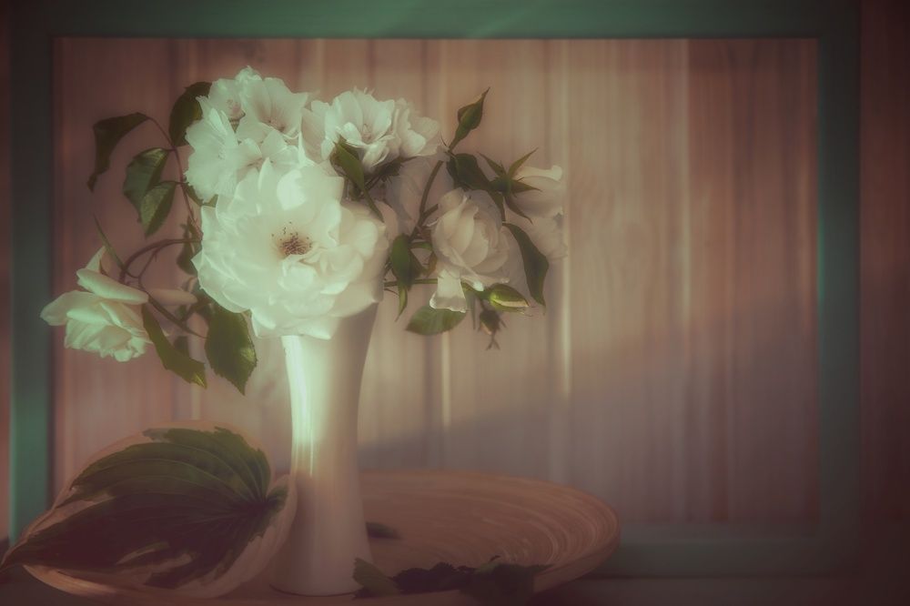 Photograph by Евгений Калагаев