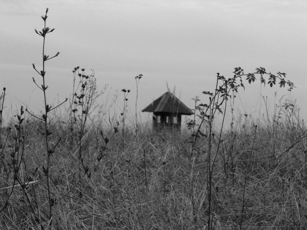 Photograph by Darko Milojevic