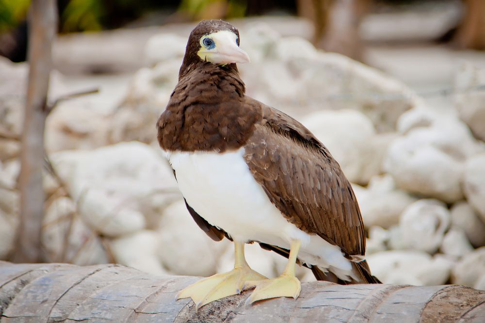 Photograph by Анна Куманцова