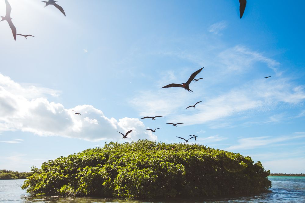 Photograph by Анна Куманцова