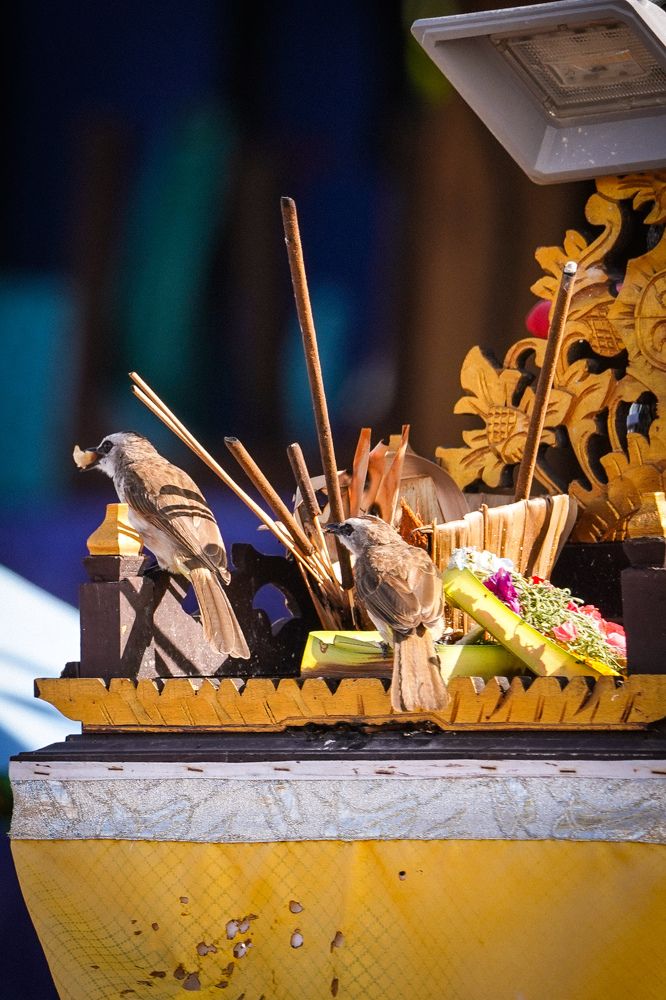 Photograph by Yustiawan