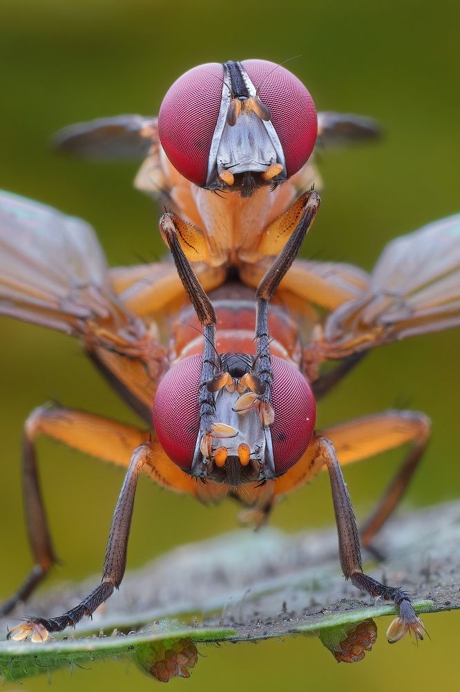 Photograph by Chen-You Li