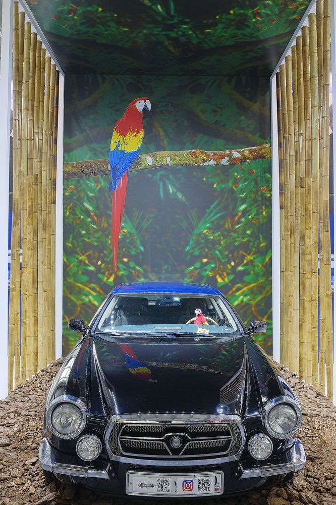 Photograph by Дмитрий Руденко