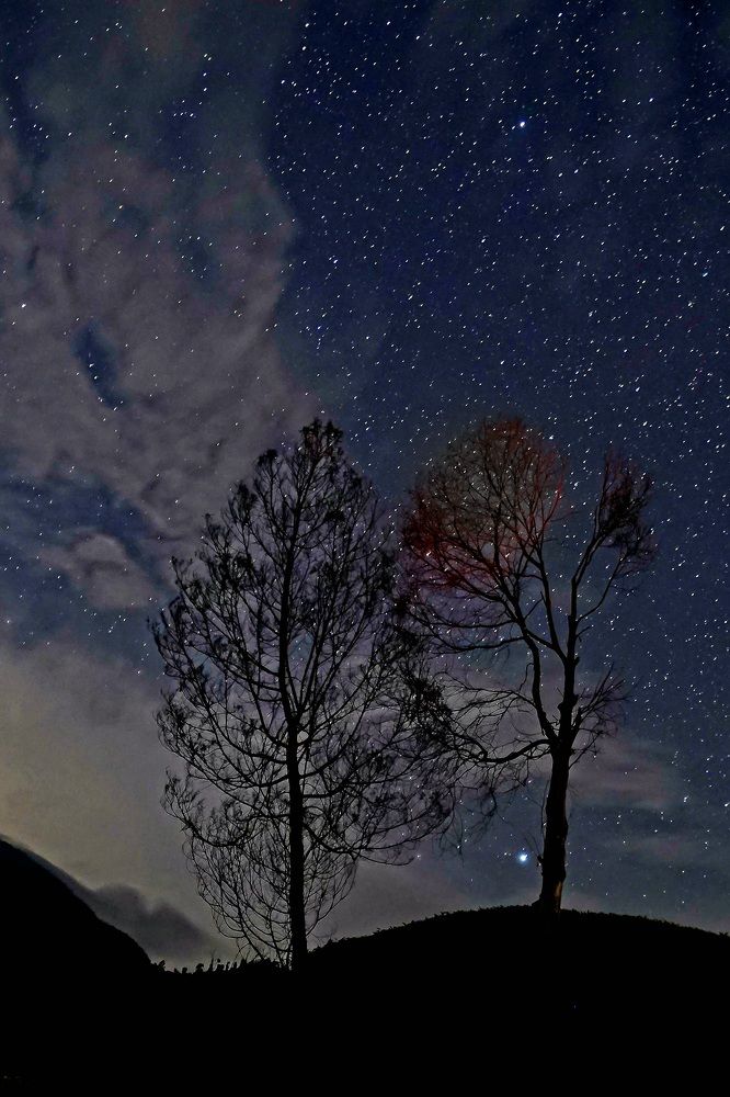 Photograph by Yustiawan