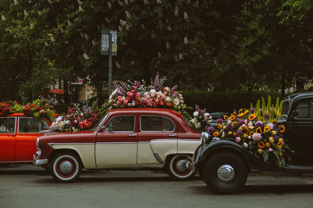 Photograph by Виктория