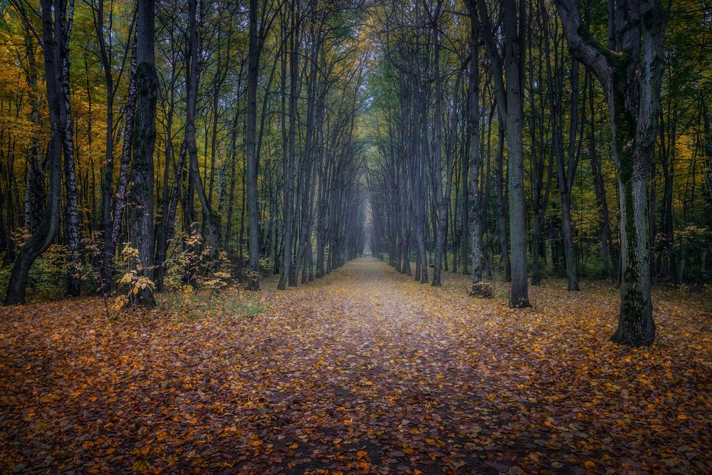 Photograph by Марина Ческис