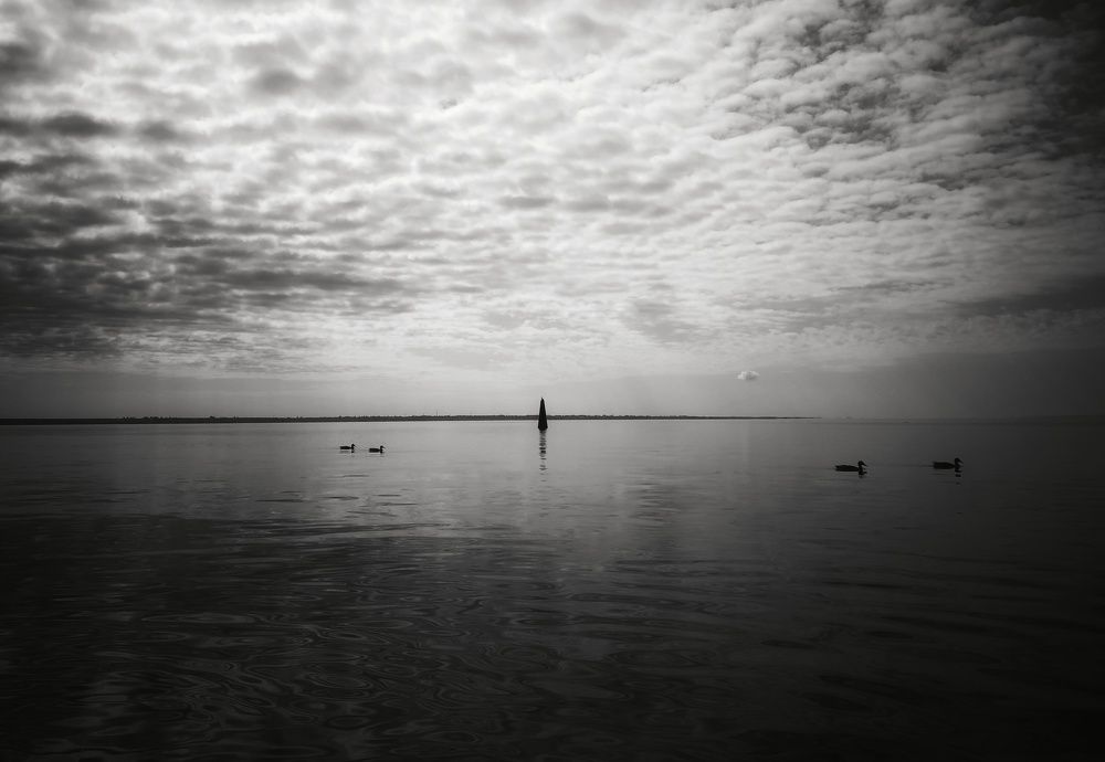 Photograph by Людмила М