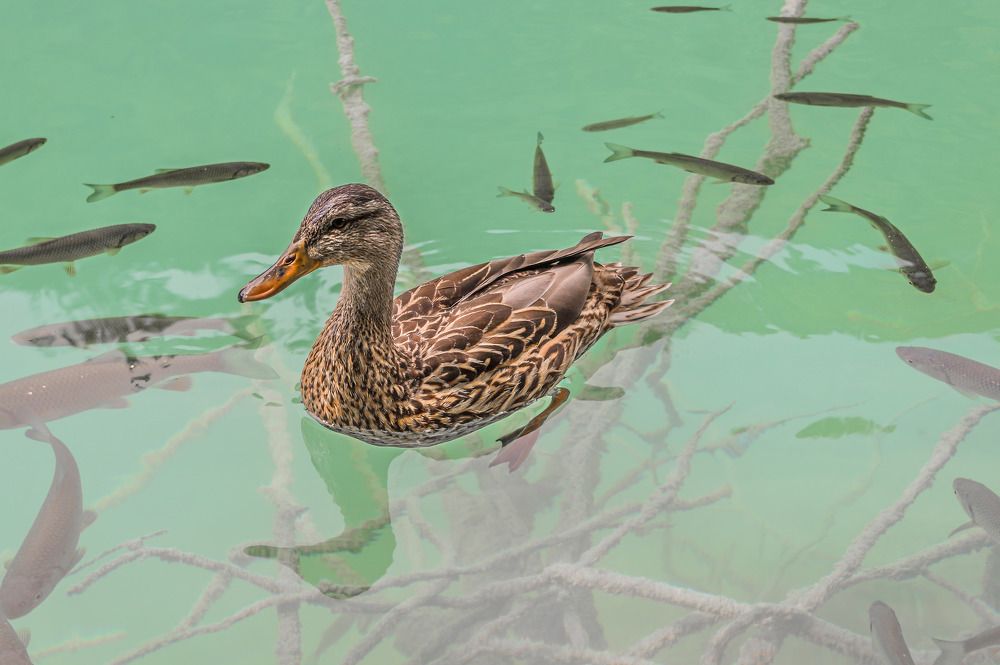 Photograph by Олег Ершов