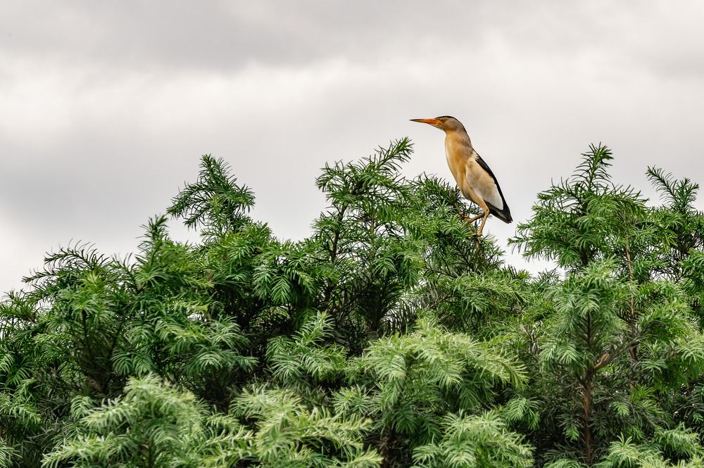 Photograph by Олег Ершов