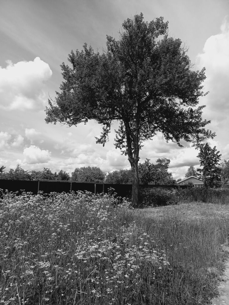 Photograph by Зоя Кулько