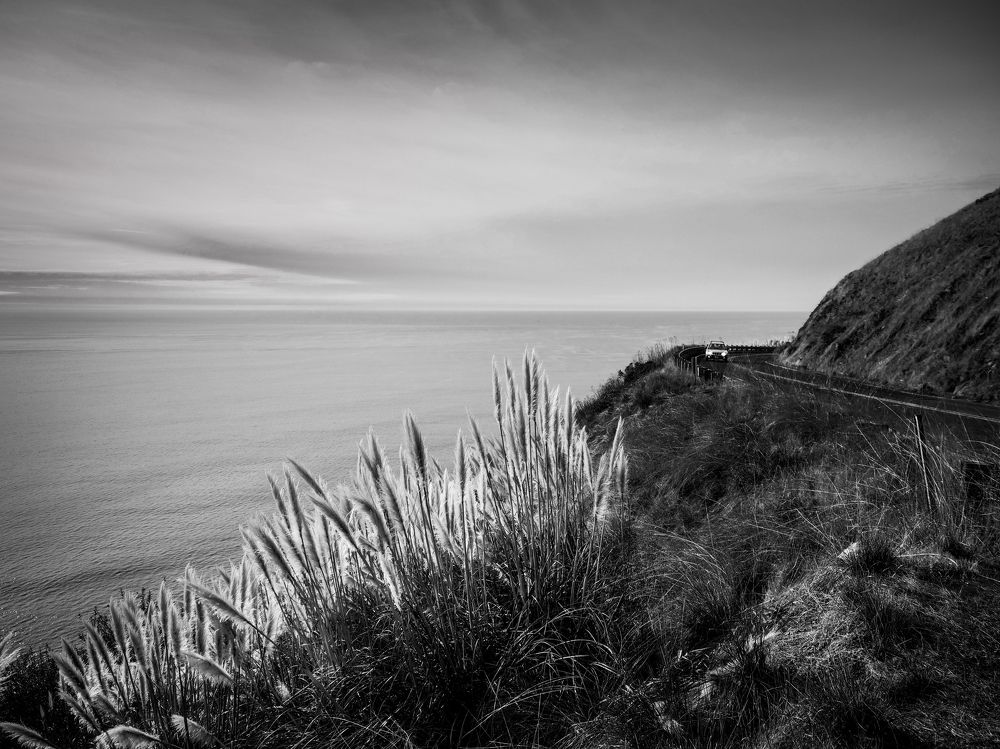 Photograph by Praveen Emmanuel