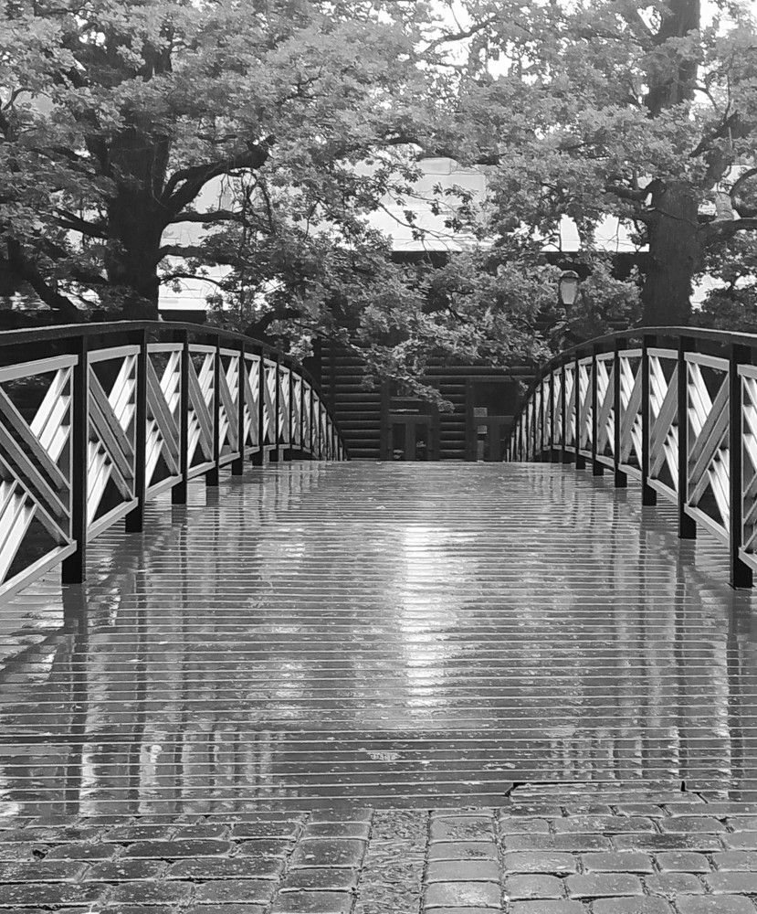 Photograph by Litvinova Ann