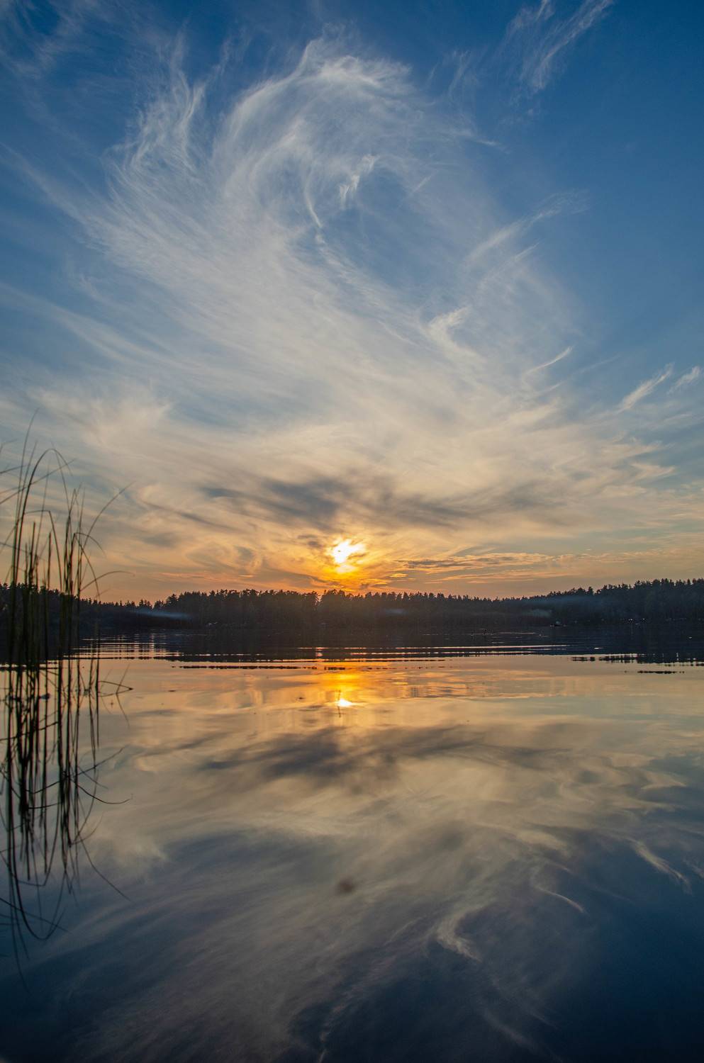 Photo #7774578