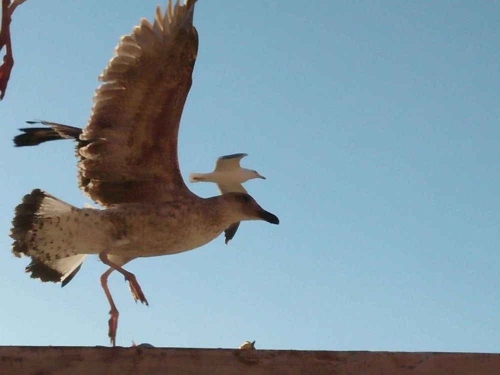 Photograph by Jellab Abdellatif