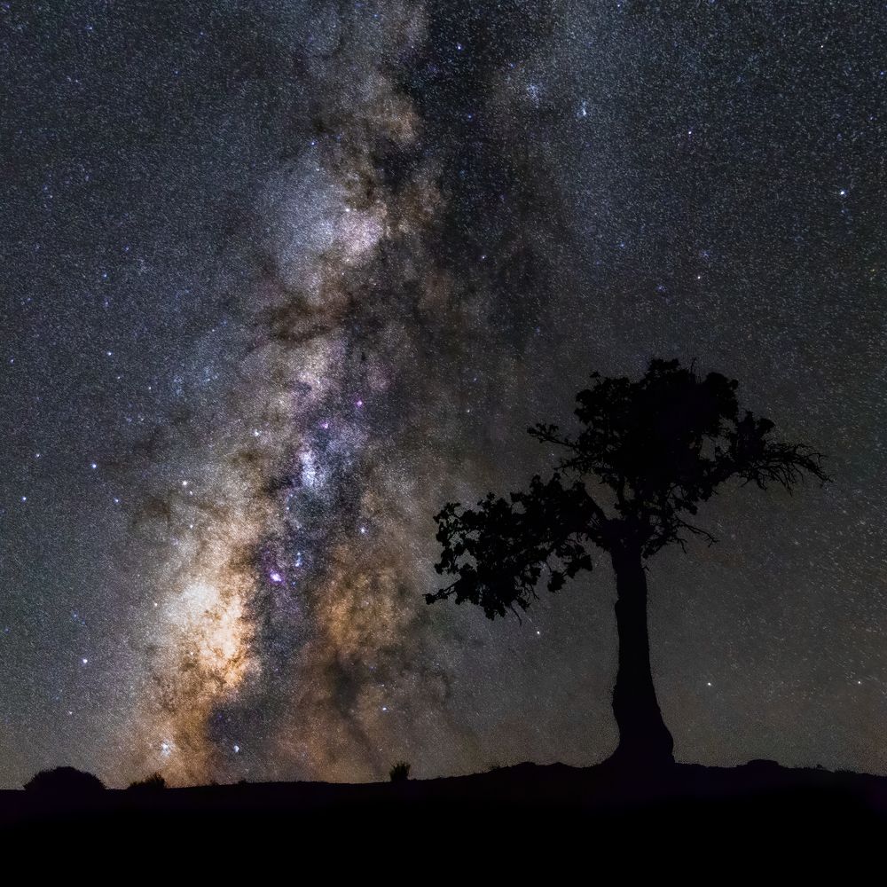 Photograph by Abolfazl Arab