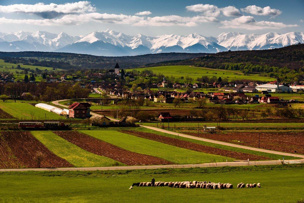 Photograph by Kovacs Robert