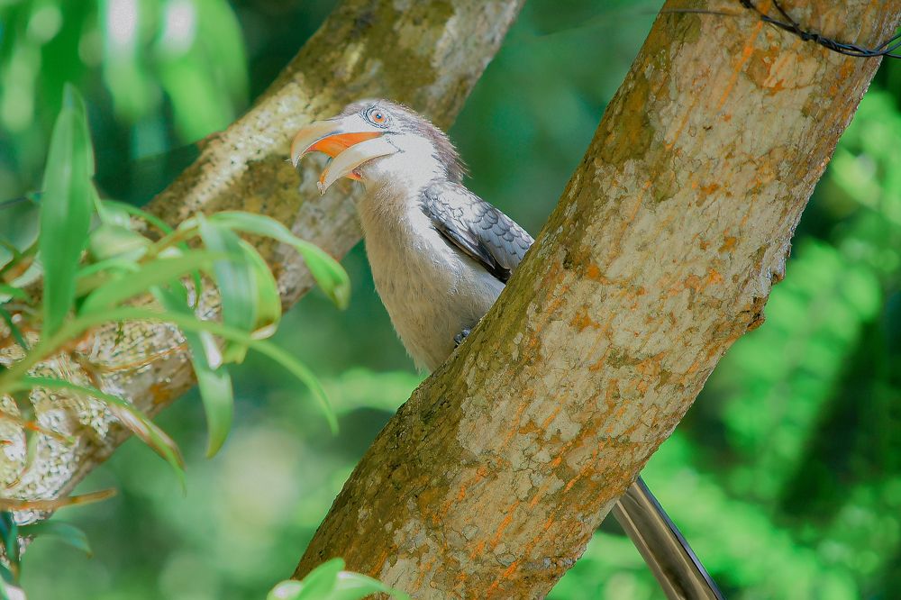 Photograph by Shamal lakshan