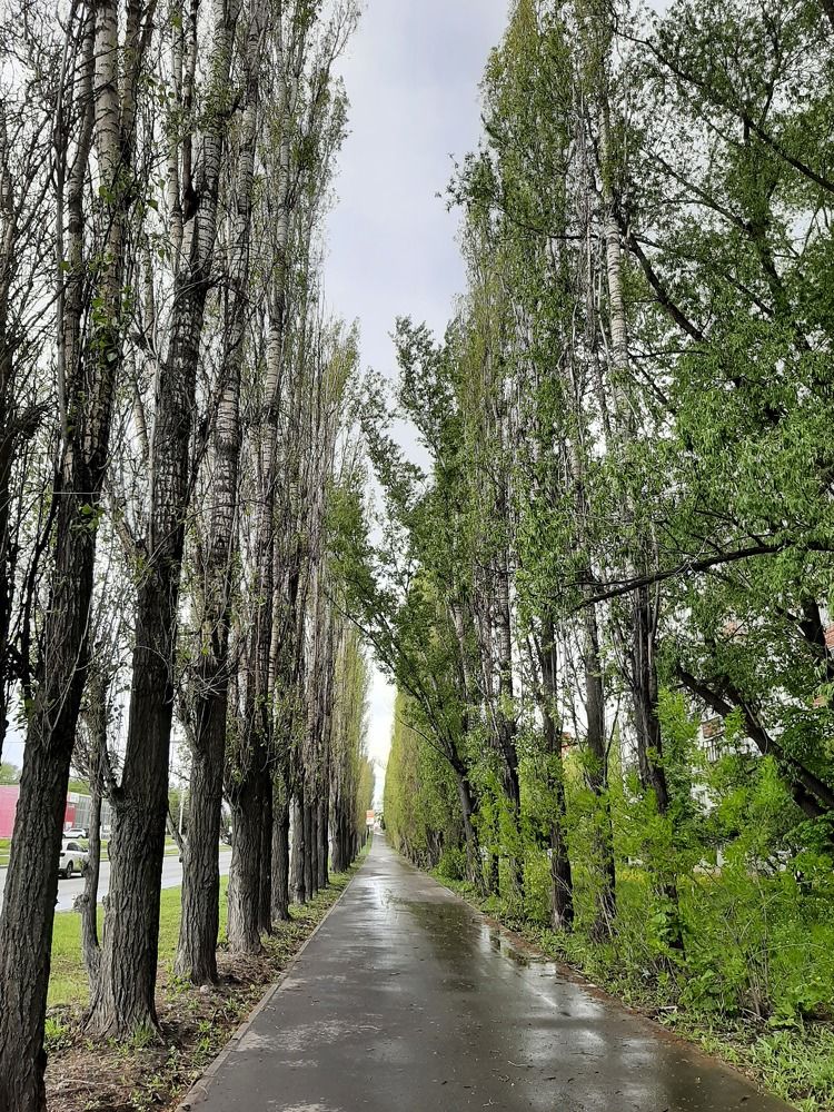 Photograph by Elena Goreva