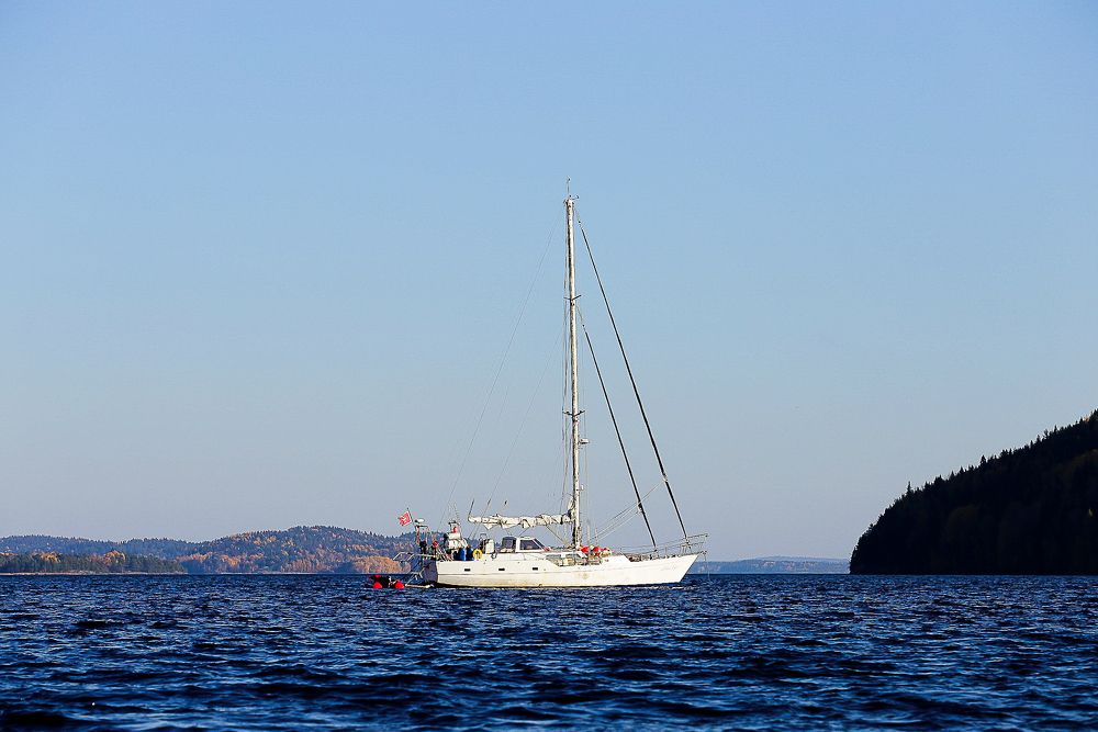 Photograph by Анатолий Буянов