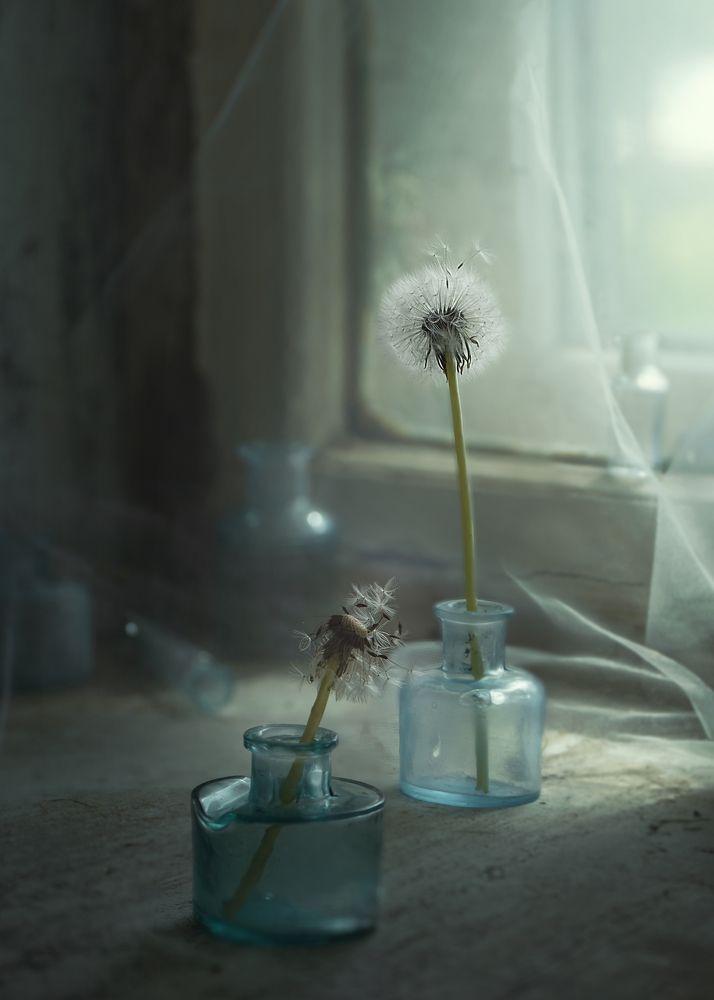 Photograph by Natalia Ricci