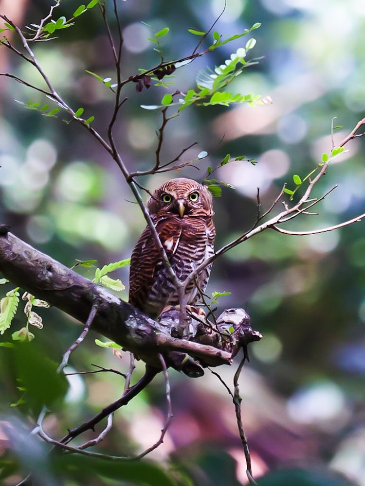 Photograph by Jaseem