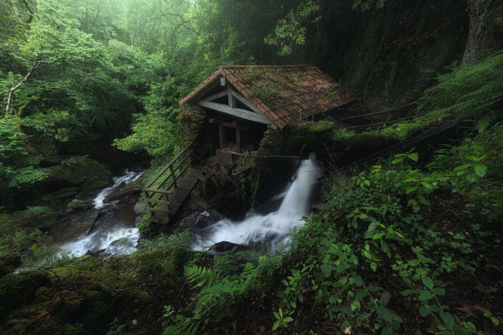 Photograph by Alfonso Maseda Varela