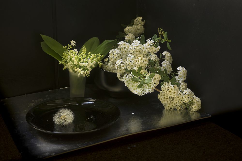 Фотография автора Milena Ivanova