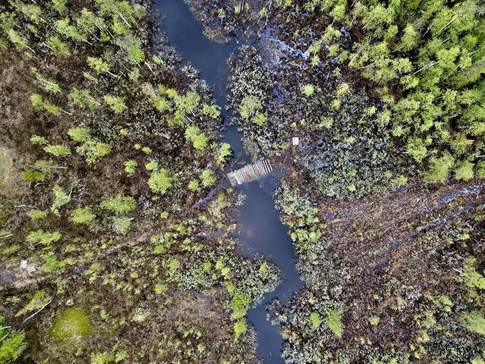 Photograph by Мария Шрейдер