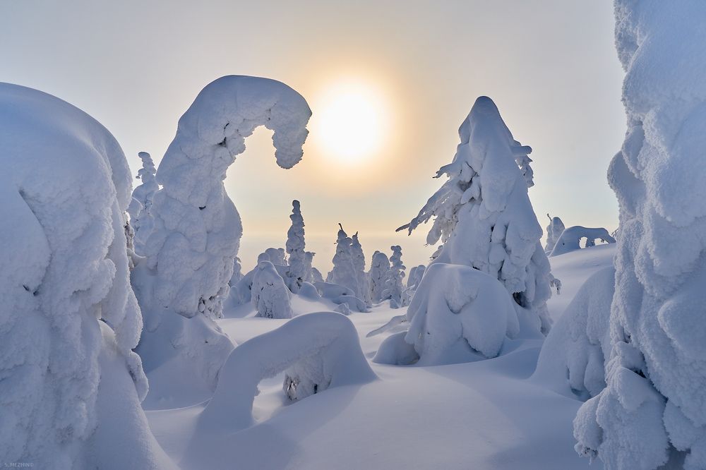 Photograph by Сергей Межин