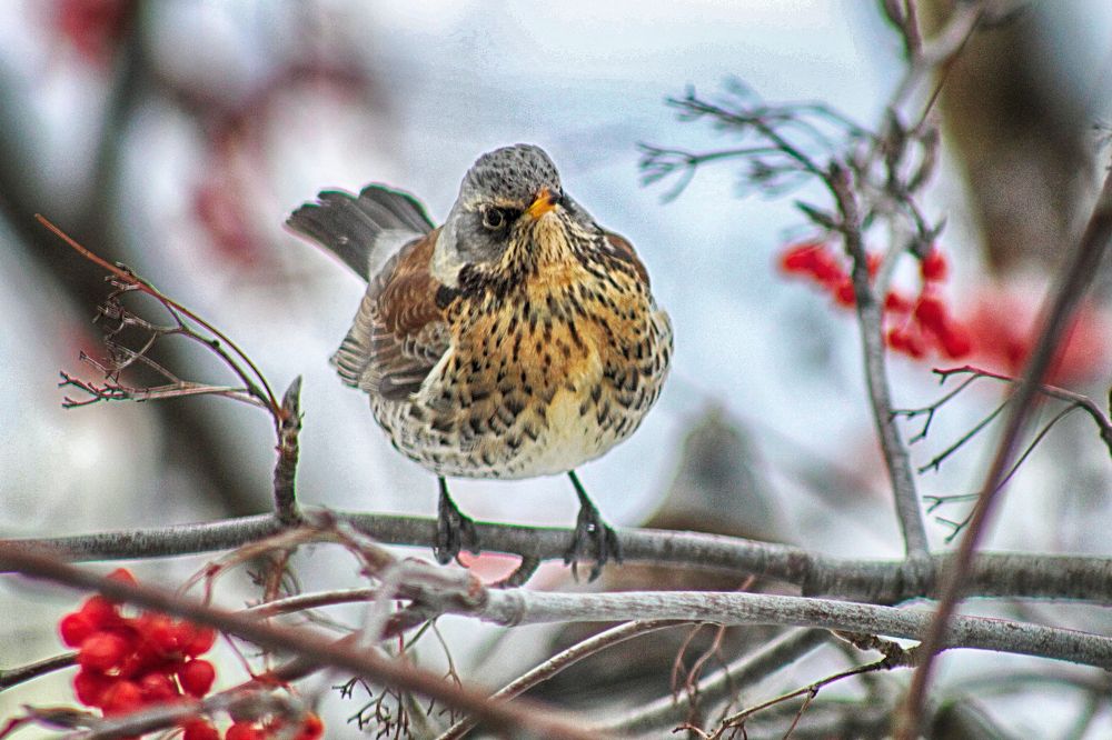 Photograph by Vitaliy Saposhnikov