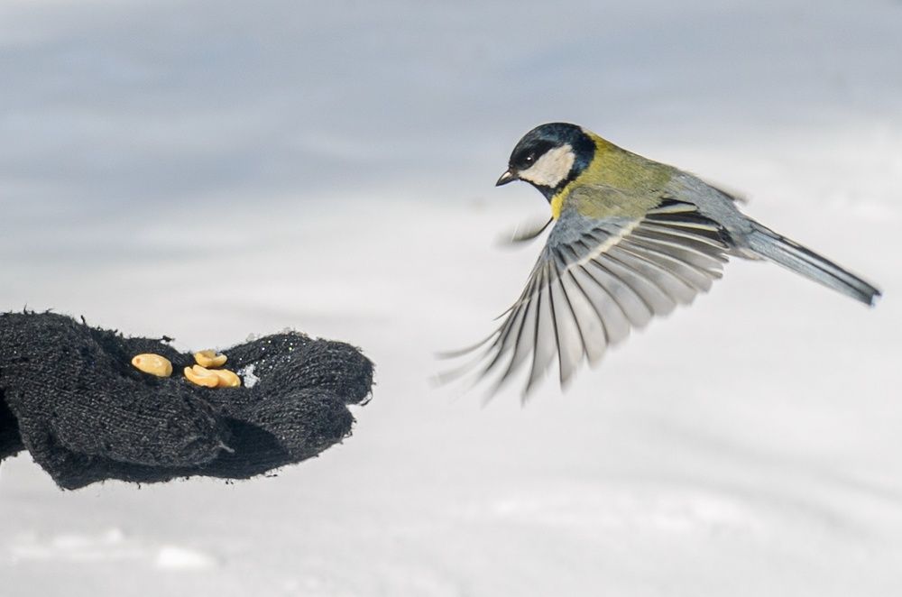 Photograph by Александр Коваль