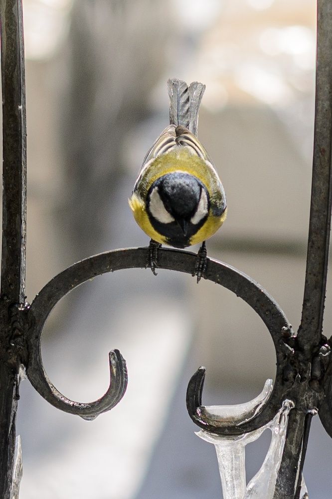 Photograph by Александр Коваль