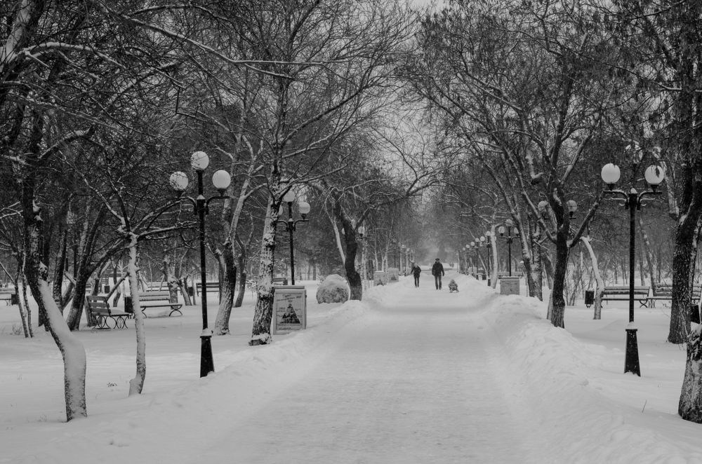 Photograph by Александр Коваль