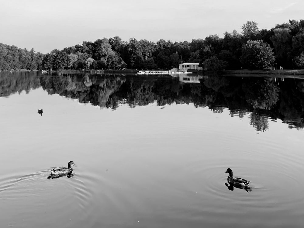 Photograph by Станислав